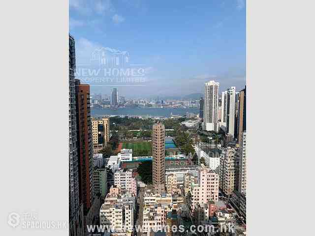 Causeway Bay - Illumination Terrace 01