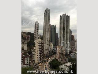 大坑 - 上林 04