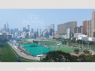 Happy Valley - Fortuna Court 02