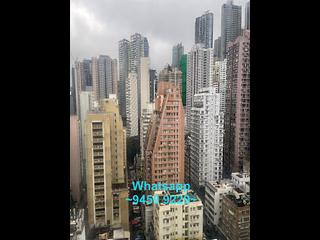 上環 - 麗雅苑 14