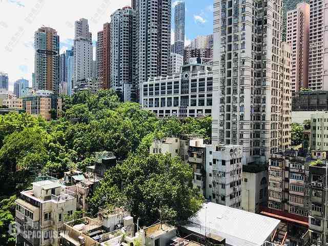 西营盘 - 缙城峰1座 12