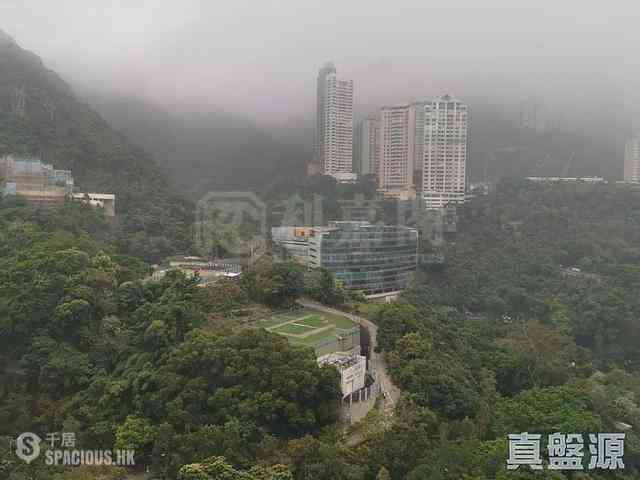 Wan Chai - Star Crest Block 1 01