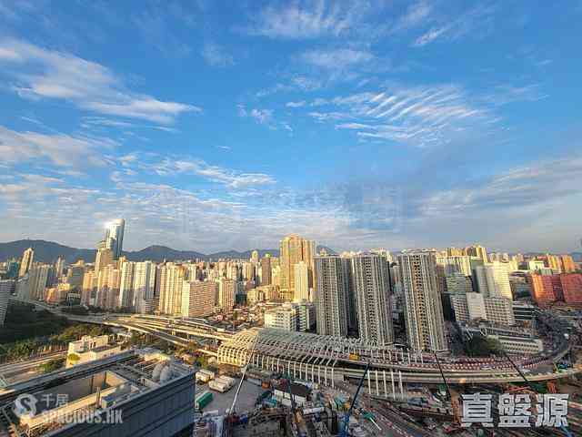 油麻地 - 御金·国峯1座 01