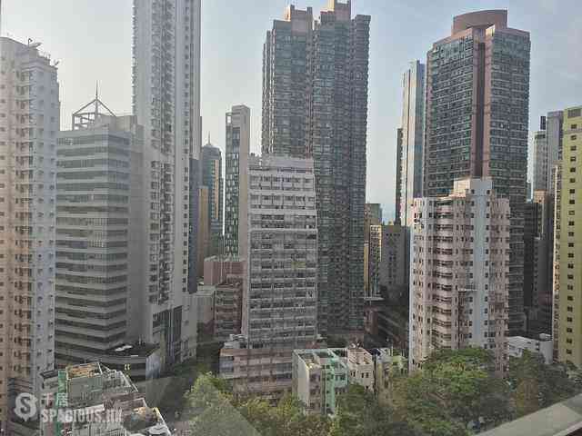 Sheung Wan - Hollywood Hill 01