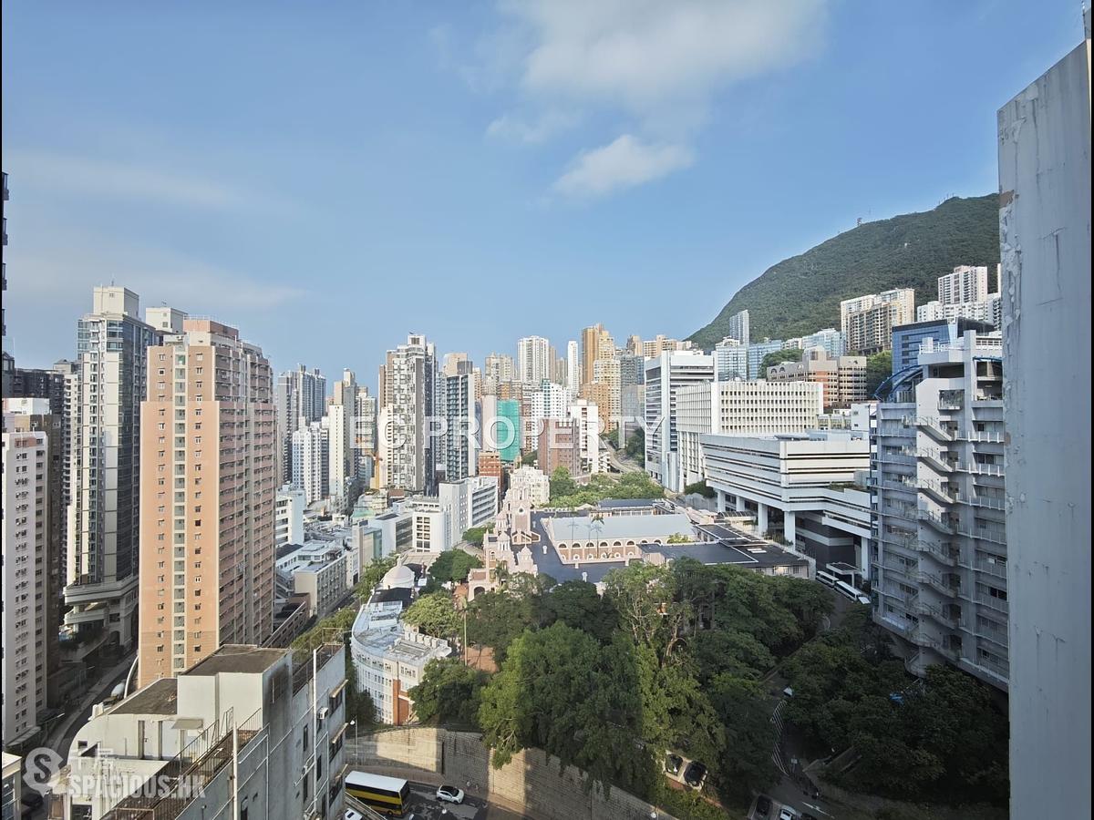 Shek Tong Tsui - The Hilltop 01