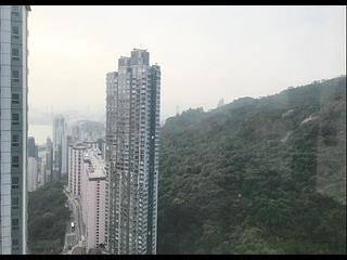 Tai Hang - Ronsdale Garden 02