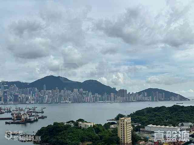 Cheung Sha Wan - Grand Victoria 02