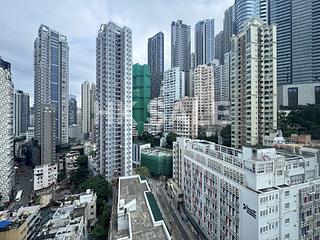 Poho - Rich View Terrace 03