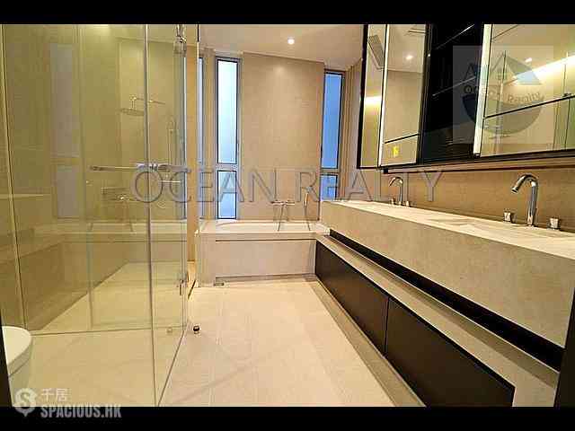 Clear Water Bay - Mount Pavilia 13