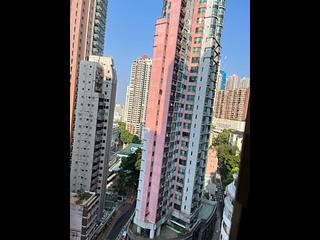 Sai Ying Pun - Golden Phoenix Court 03