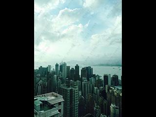 中半山 - 寶樺臺 04