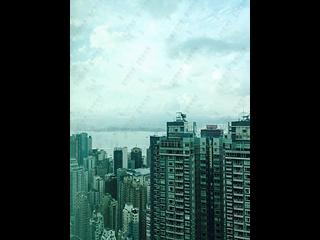 中半山 - 寶樺臺 05