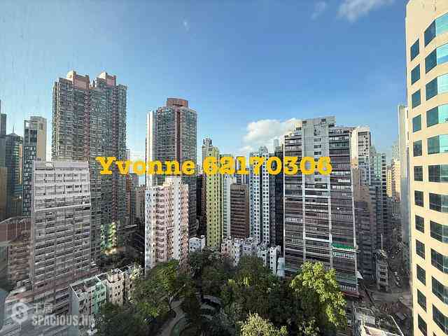Sheung Wan - Hollywood Hill 04