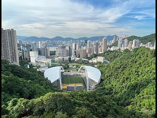 Happy Valley - Broadwood Park 11