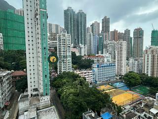 Poho - Rich View Terrace 09