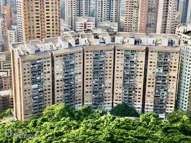西半山 - 联邦花园 14