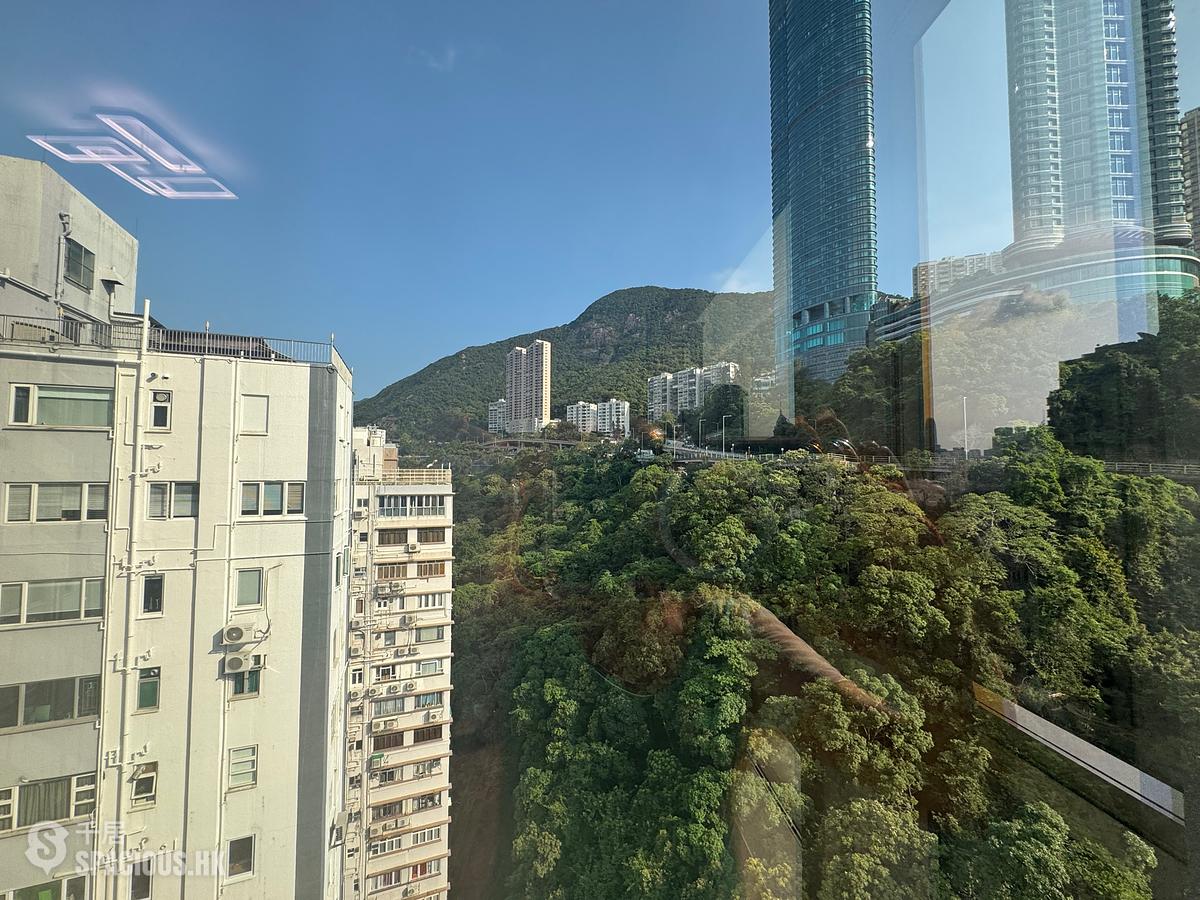 跑马地 - 纪云峰 01