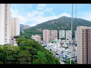Tai Hang - 60, Aurizon 50