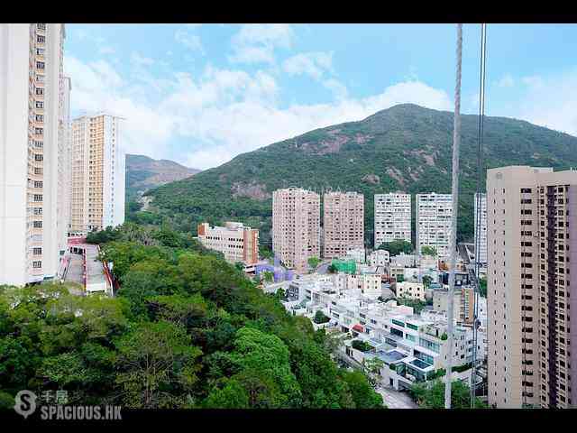 Tai Hang - 60, Aurizon 50