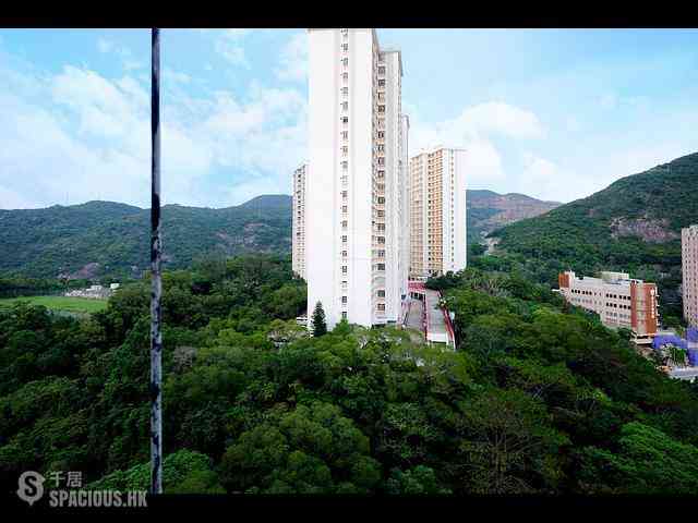 Tai Hang - 60, Aurizon 51
