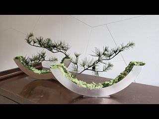 北角 - 柏蔚山 24
