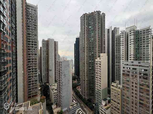中半山 - The Icon 14