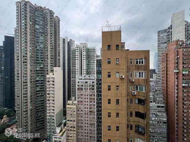 中半山 - The Icon 15