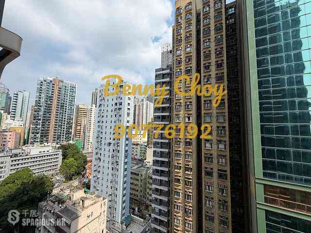 Sai Ying Pun - Bohemian House 15