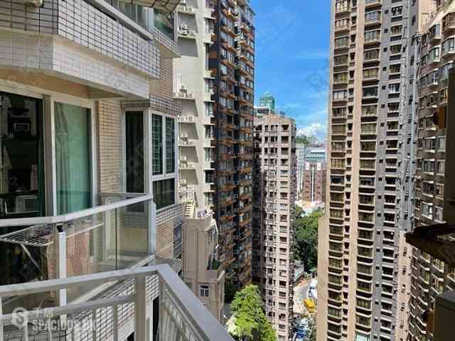 Sai Ying Pun - Reading Place 07