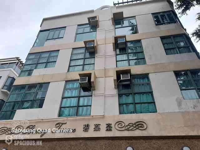 Pok Fu Lam - Bisney Terrace 16