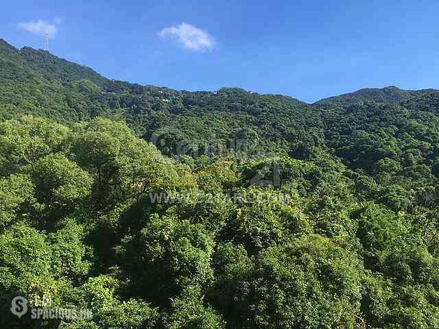 西半山 - 杏彤苑 04