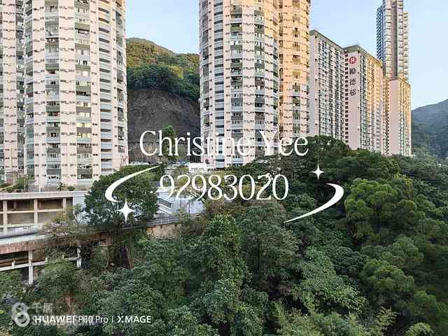 Tai Hang - Lily Court 01