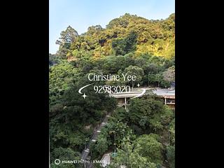 Tai Hang - Lily Court 06