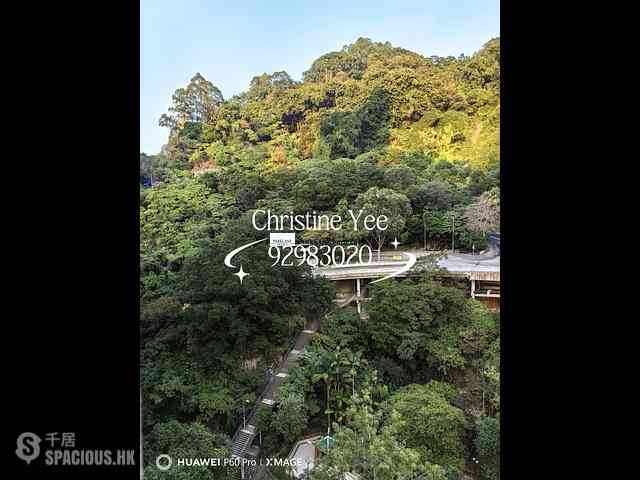 Tai Hang - Lily Court 06
