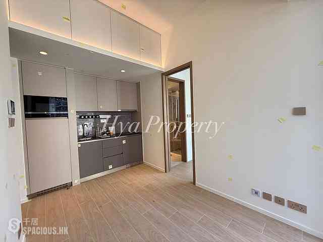 Sai Ying Pun - Des Voeux W Residence 02