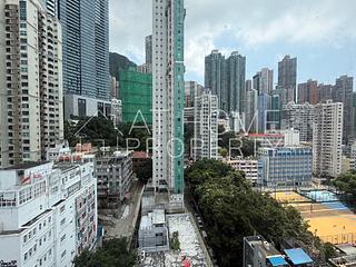 Poho - Rich View Terrace 09