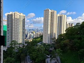 Jardines Lookout - Cavendish Heights 02