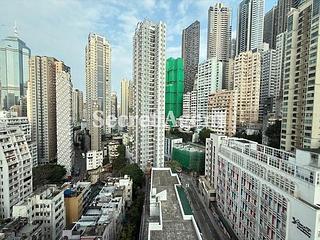 Poho - Rich View Terrace 03