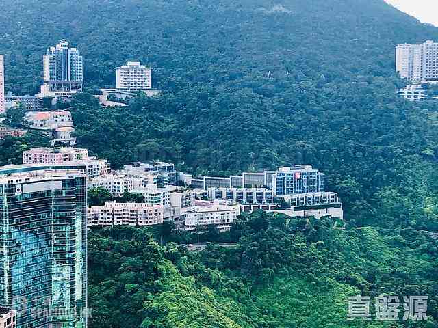 跑马地 - 乐天峰 08