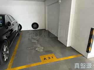 司徒拔道 - 嘉苑 14