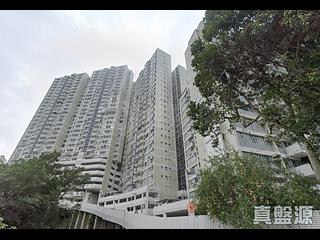 司徒拔道 - 嘉苑 16