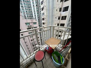 Sai Ying Pun - Reading Place 05
