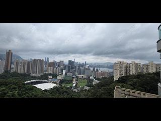 Tai Hang - Jardini 07