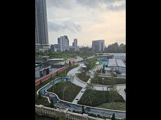 油麻地 - 御金・國峯2座 12