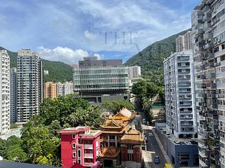 Happy Valley - The Aster (Resiglow) 03