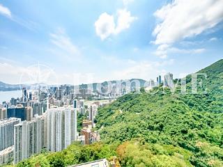 The Peak - Infinity 10