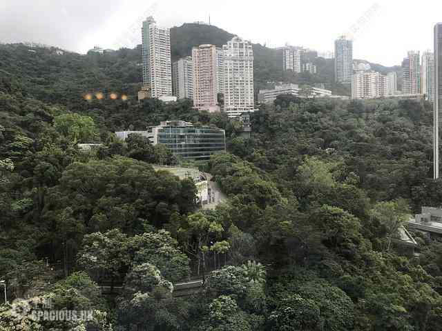 Wan Chai - Star Crest Block 1 01
