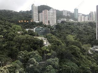Wan Chai - Star Crest Block 1 03