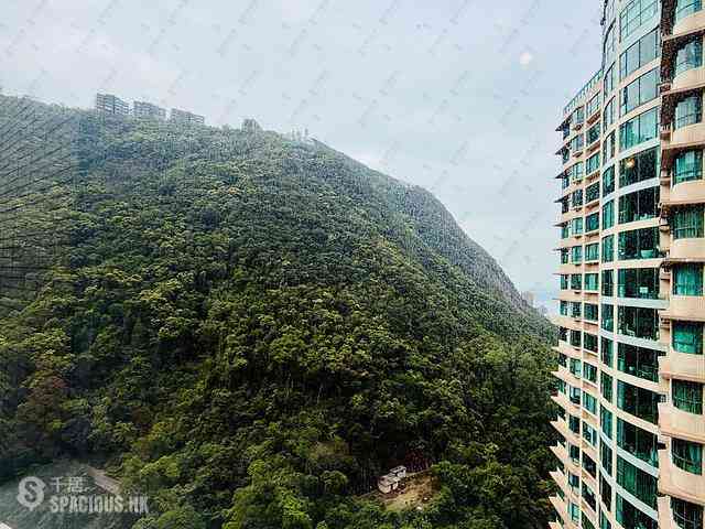 Mid Levels Central - Tregunter Tower 3 07
