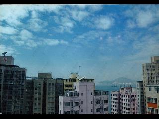 Shek Tong Tsui - The Belcher's Phase 2 Block 8 19